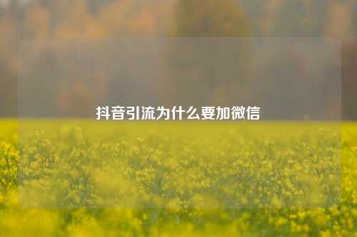 抖音引流为什么要加微信