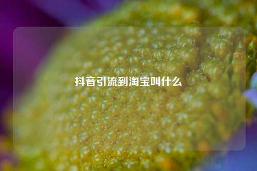 抖音引流到淘宝叫什么