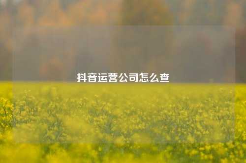 抖音运营公司怎么查