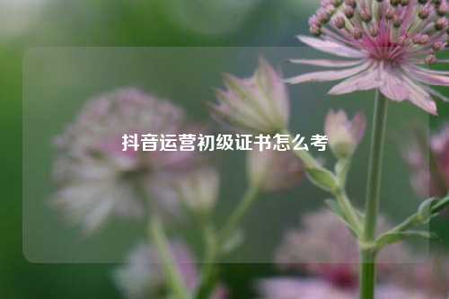 抖音运营初级证书怎么考